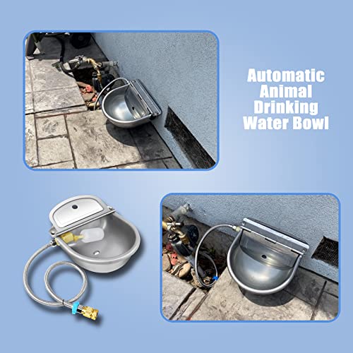 Automatic water bowl hotsell