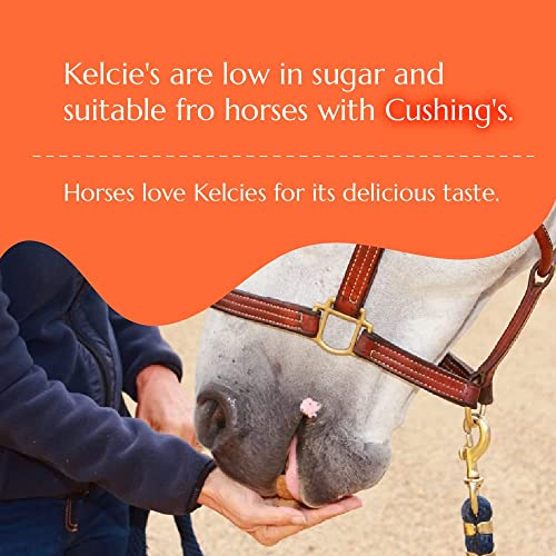 Horse treat bag hot sale